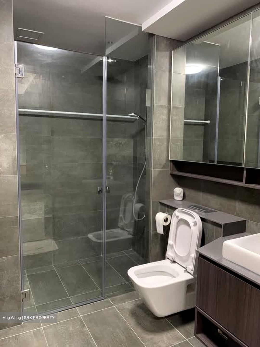 Grandeur Park Residences (D16), Condominium #563230981